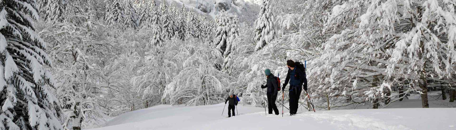 La randonnée en raquette à neige est un fabuleux outil de déplacement 