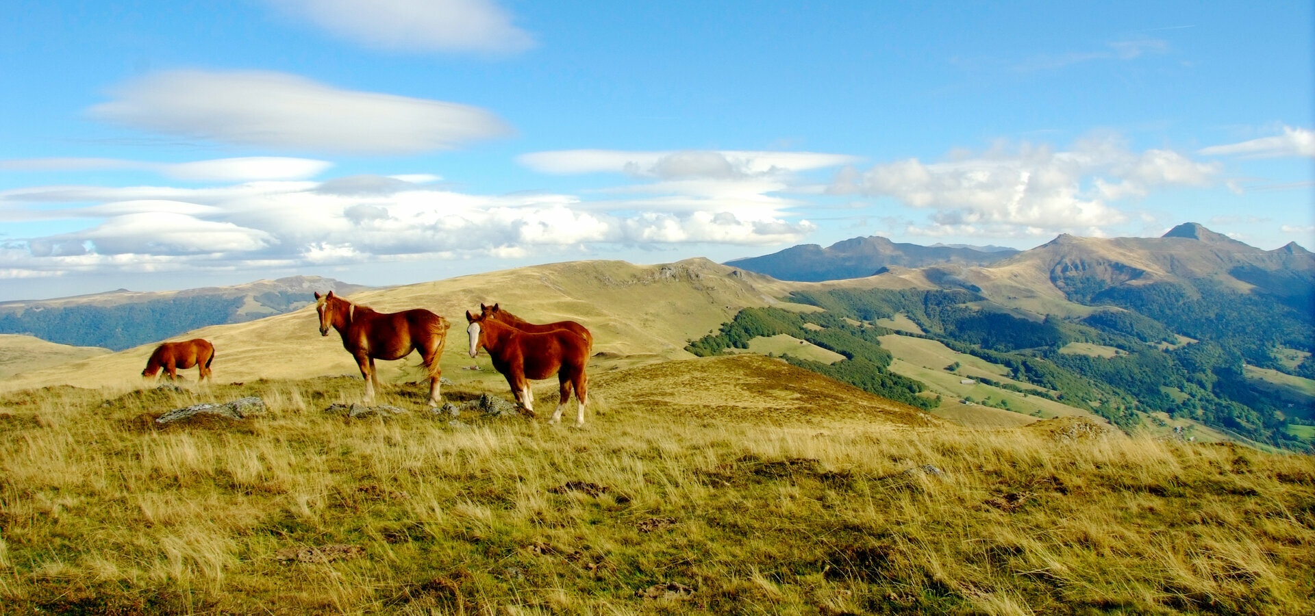 Les 4 saisons des sports de montagne dans le cantal